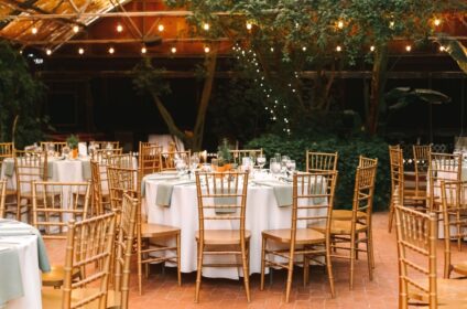 Boojum Tree Hidden Gardens